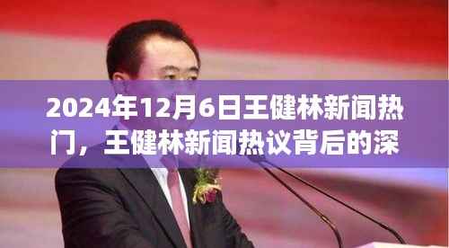 王健林新闻热议背后的深度解读,观察与思考在2024年12月6日的体现