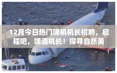 啤酒机长招聘启事,探寻自然美景之旅,启程招募热门啤机机长!