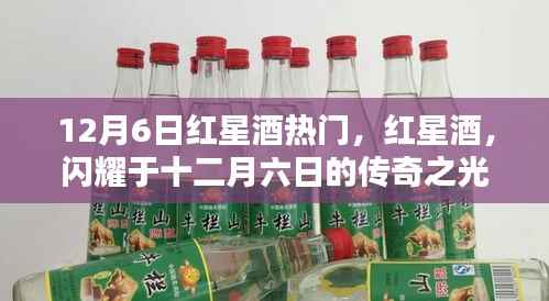 射飞逐走 第4页