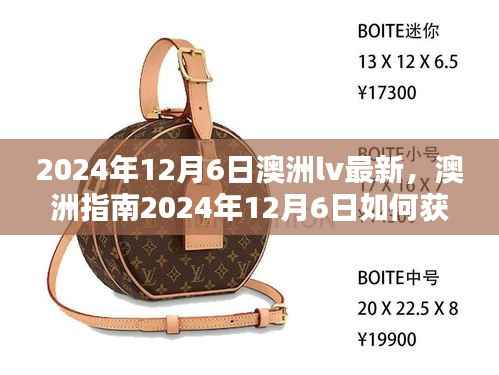 项目介绍 第428页