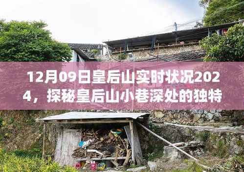 探秘皇后山小巷深处的隐藏特色小店,实时故事与独特风味,2024年12月09日皇后山实况报道