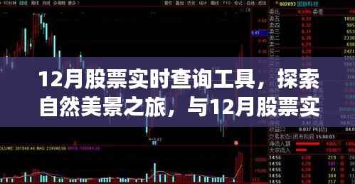 股票实时查询与自然美景之旅,探索宁静之地的完美组合