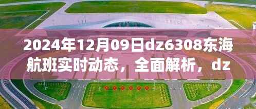 独家解析,2024年12月9日dz6308东海航班实时动态及乘客体验分享