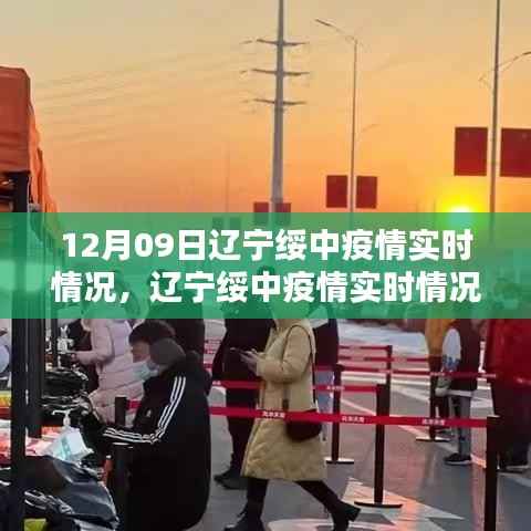 辽宁绥中疫情最新实时动态及分析,某某观点阐述