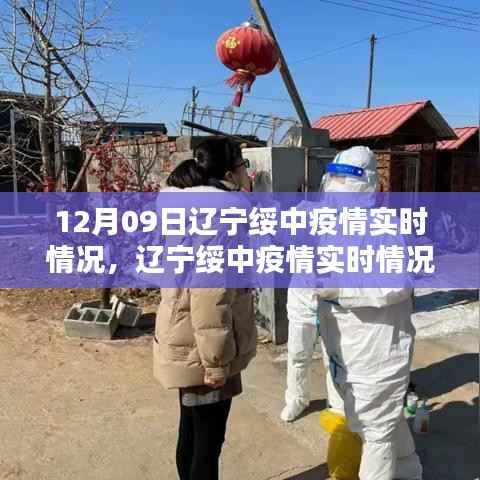 辽宁绥中疫情最新实时动态及分析,某某观点阐述