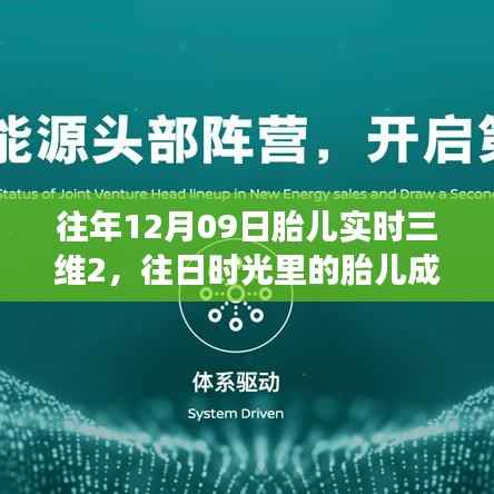 胎儿成长记录,开启三维人生的新篇章——胎儿实时三维与成长变化学习之旅