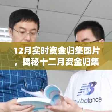 揭秘十二月资金实时归集,实时图片解读与洞察报告