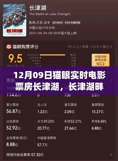 长津湖畔的票房奇缘，电影日的温馨时刻