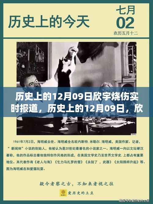 蚁出蚋飞 第3页