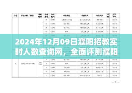濮阳招教实时人数查询网全面评测，特性、体验、竞品对比及用户群体深度分析