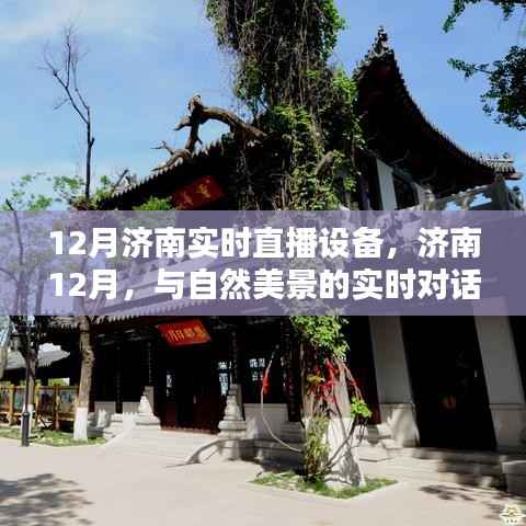 济南12月实时直播设备,与自然美景对话,寻找内心的宁静与平和之旅