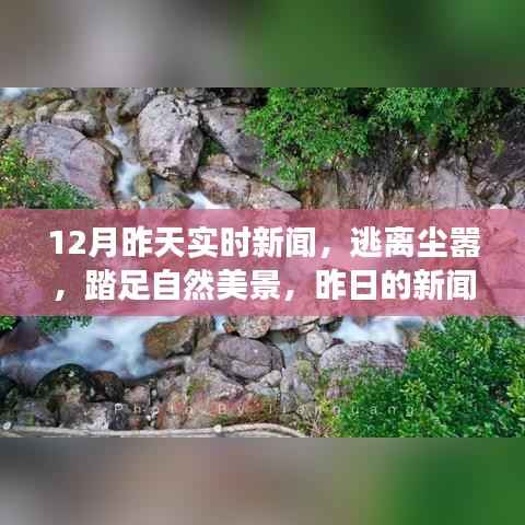 昨日新闻与今日心灵之旅,逃离尘嚣,踏足自然美景的奇妙之旅