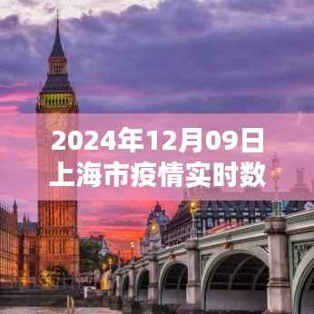 项目介绍 第387页