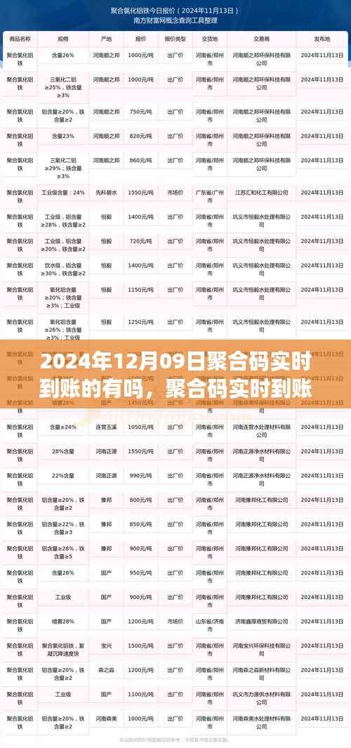 2024年聚合码实时到账可行性探讨,以观察日12月09日为切入点