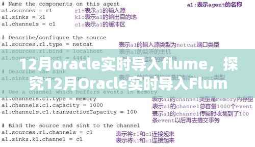 探究Oracle实时导入Flume的技术观点与实际应用(12月版)