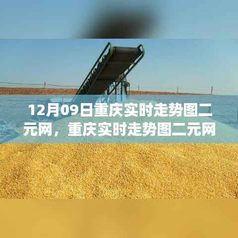 重庆实时走势图二元网下的多元视角深度探讨