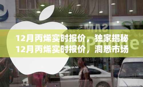 独家揭秘，12月丙烯市场实时报价与行业趋势分析