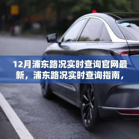 浦东实时路况查询指南，最新路况信息，出行无忧