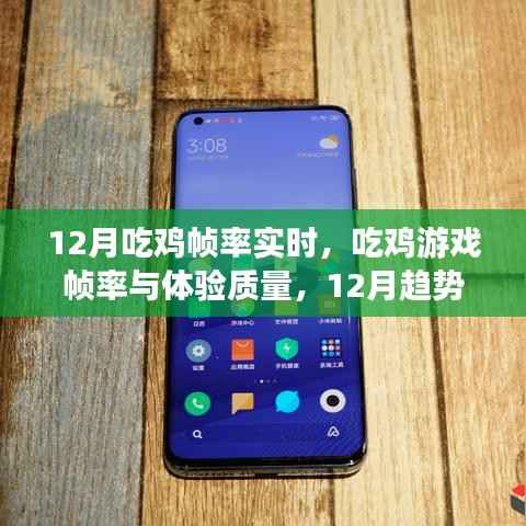12月吃鸡游戏帧率实时探讨,帧率与体验质量的关系及趋势分析