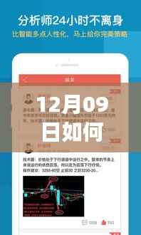 项目介绍 第372页