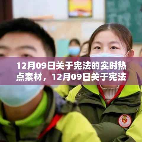 项目介绍 第370页