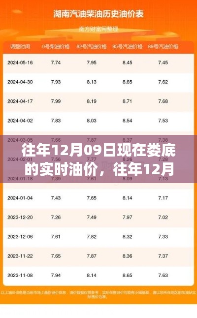 往年12月09日娄底实时油价解析,多重因素背后的油价波动