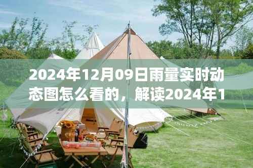 如何解读2024年12月09日雨量实时动态图,掌握关键信息应对天气变化