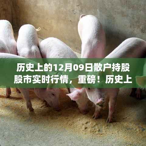 揭秘历史12月09日散户股市实时行情,洞悉风云,股市行情大揭秘