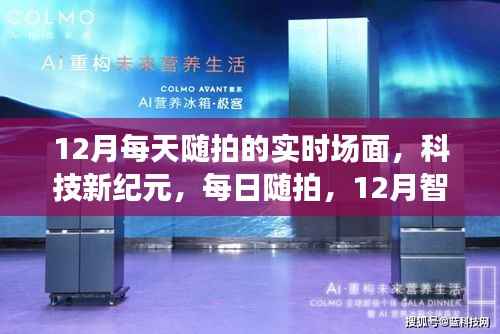 项目介绍 第360页