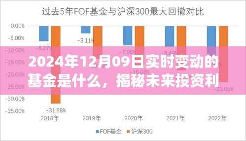 揭秘未来投资利器，智能基金追踪系统揭示2024年实时变动基金引领科技投资新纪元！