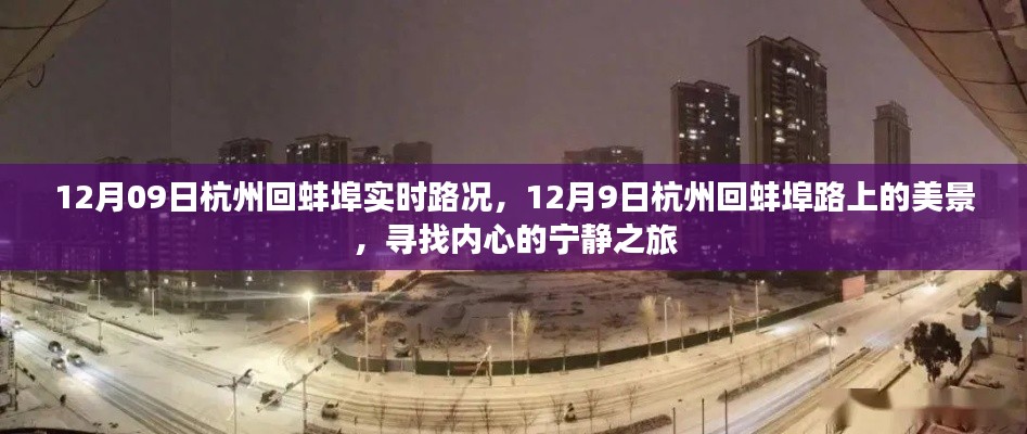 12月9日杭州回蚌埠之旅,实时路况与心灵美景的双重体验