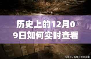 探秘特色小店库存奥秘,实时查看库存量,揭秘小巷深处的宝藏之旅。