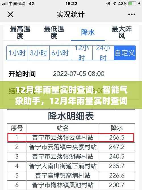 智能气象助手，实时查询12月年雨量，科技重塑生活体验