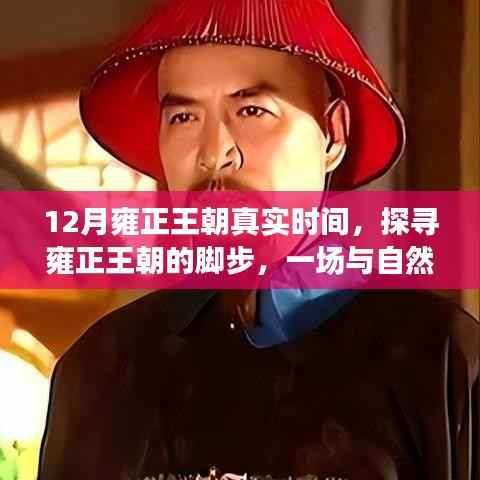 项目介绍 第354页