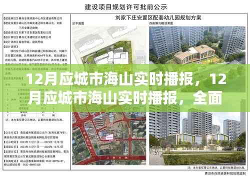 12月应城市海山实时播报,全面评测与详细介绍