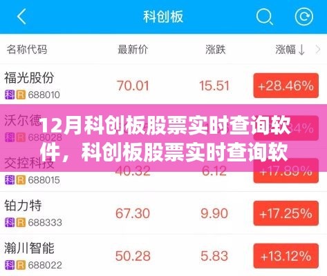 科创板股票实时查询软件使用指南,适合初学者与进阶用户的12月版查询工具
