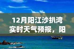 阳江沙扒湾12月实时天气预报深度解析