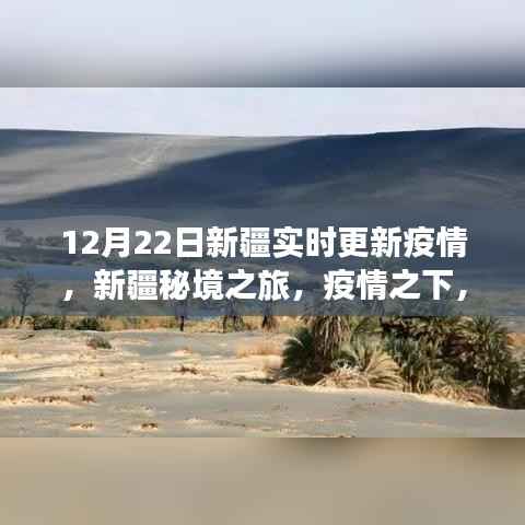 新疆疫情实时更新,疫情之下的秘境之旅与心灵绿洲探寻