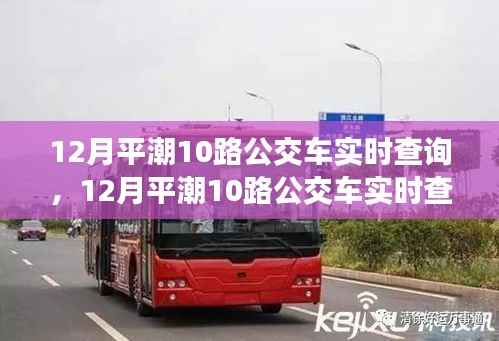 从新手到熟练者,12月平潮10路公交车实时查询完全指南