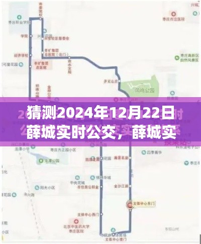 薛城实时公交应用预测与评测，智能出行新篇章展望至未来2024年体验报告