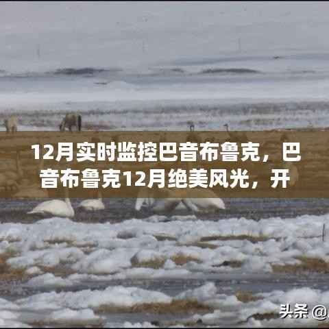 项目介绍 第339页