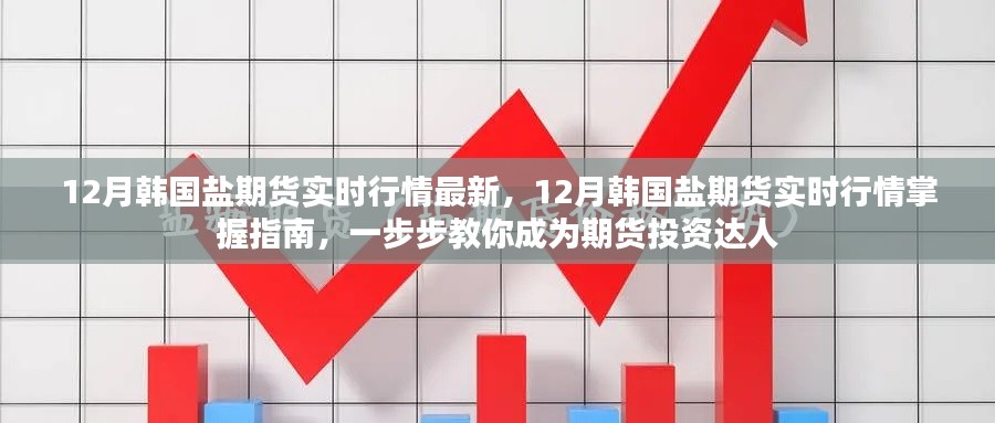 掌握最新动态,韩国盐期货投资指南与实时行情分析,助力期货投资达人之路