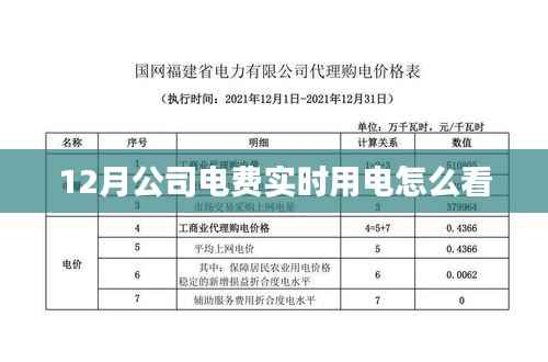 公司电费实时查看指南,12月用电监控全攻略