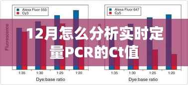 项目介绍 第328页
