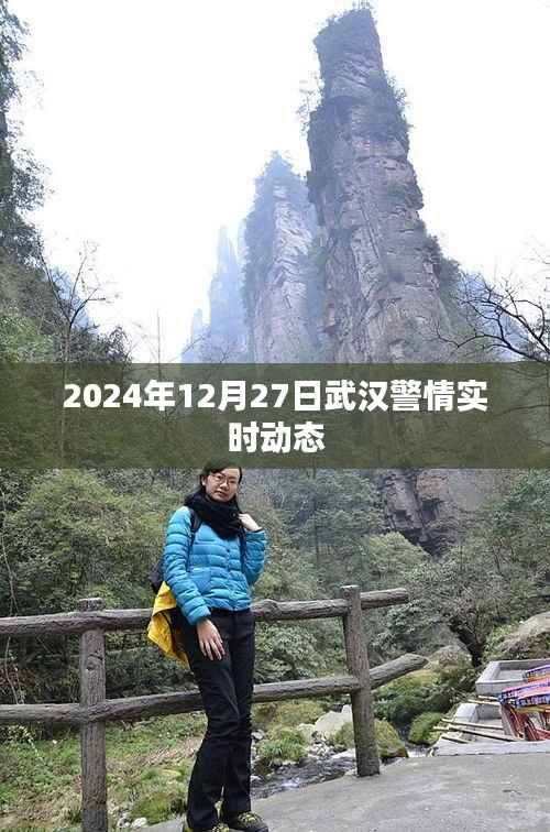 武汉警情实时动态播报（2024年12月27日）