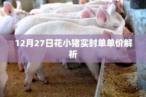 花小猪实时单单价解析，12月27日数据揭秘