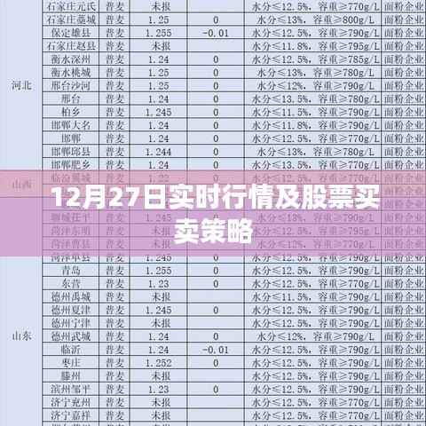 项目介绍 第318页