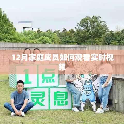 年终家庭实时视频观看指南