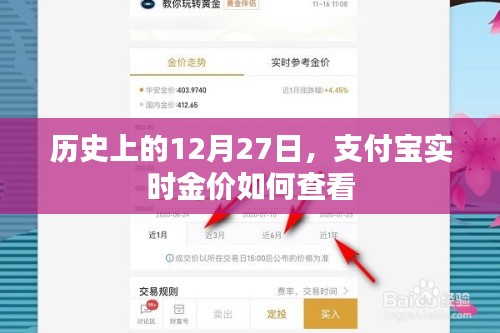 支付宝实时金价查看方法及历史日期回顾