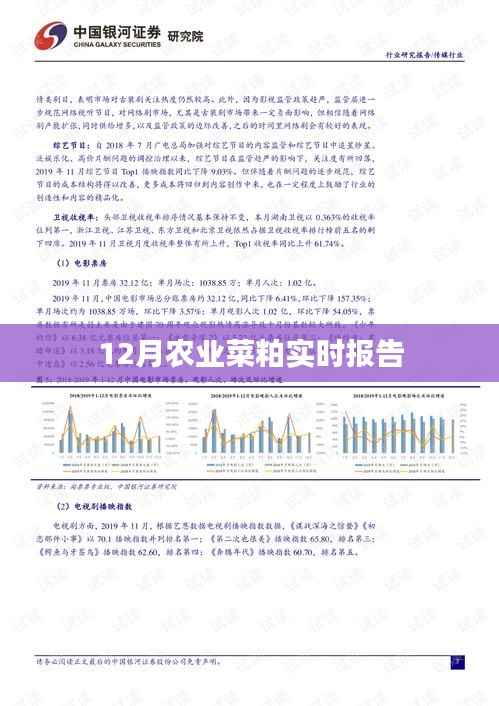 农业菜粕市场报告，最新实时动态分析